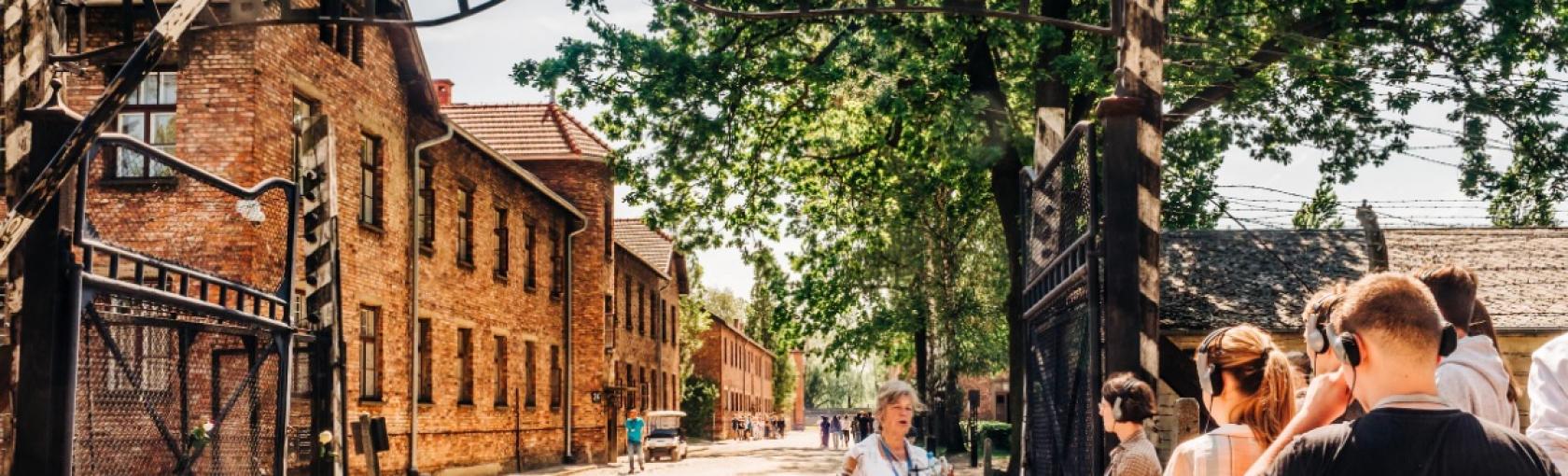 Transfery i wycieczki